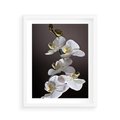 Plakat w ramie 40x50 - SPA: harmonia z kwiatami - spa, kwiaty - rama biała