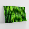 Obraz na płótnie 100x70 - Bambusowy urok zielonej harmonii - bambus, zieleń