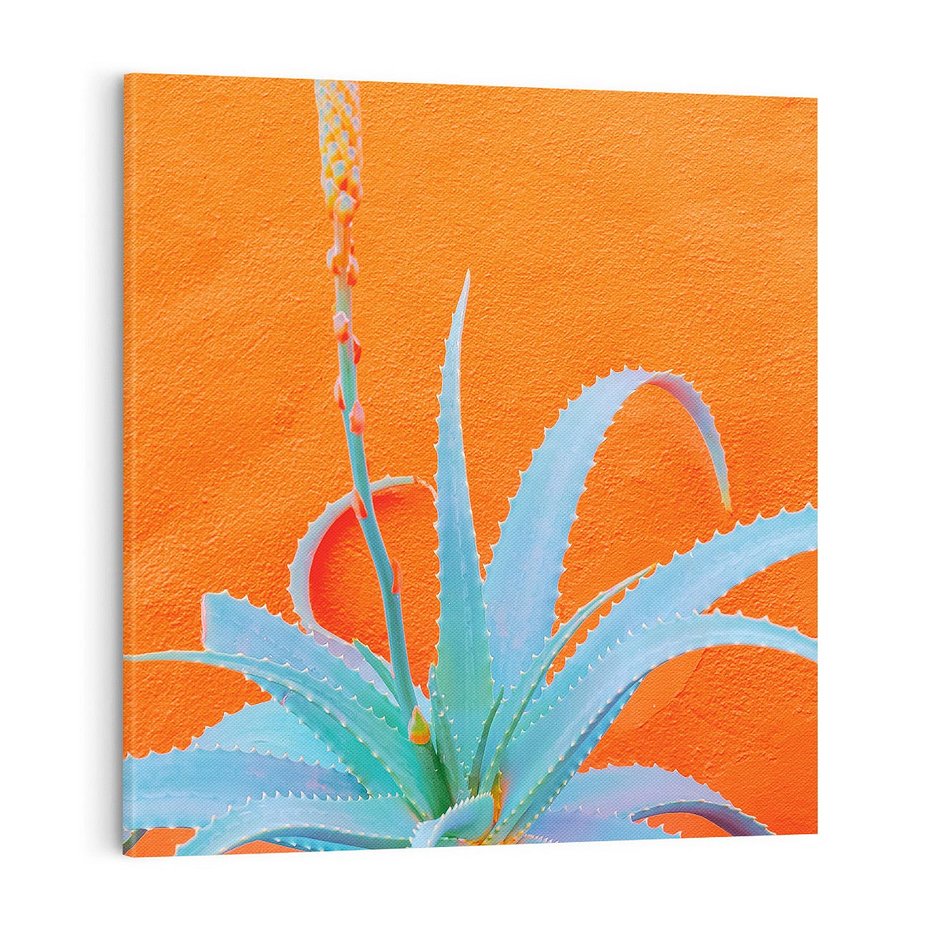 Obraz na płótnie 40x40 - Naturalna Harmonia - kaktusy, liście