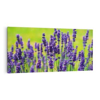 Obraz na płótnie 120x60 - Lawenda w naturze - lawenda, kwiaty