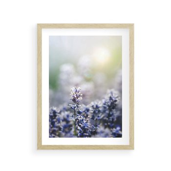 Plakat w ramie 30x40 - Delikatna Uroda Natury - wrzosy, fiolet - rama drewno