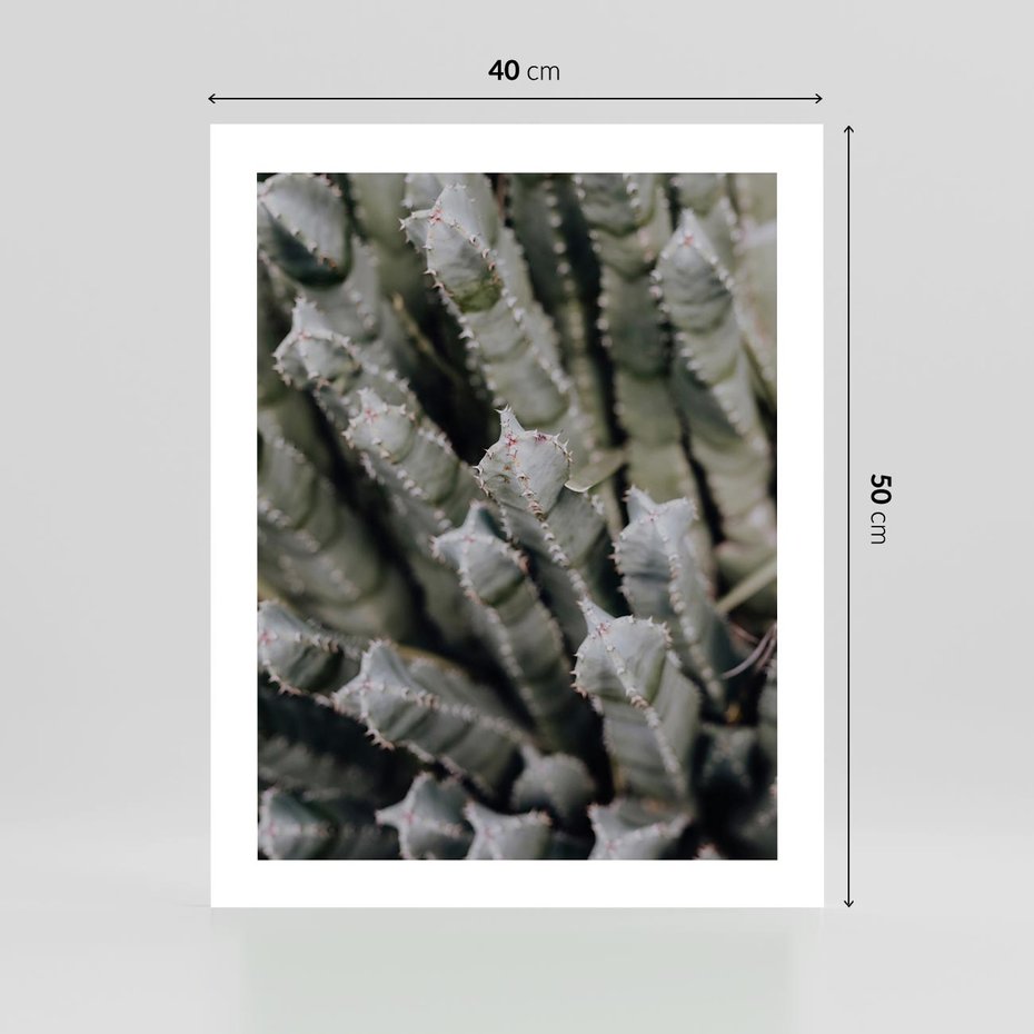 Plakat bez ramy 40x50 - Boho kaktusy na pustyni - kaktusy, pustynia