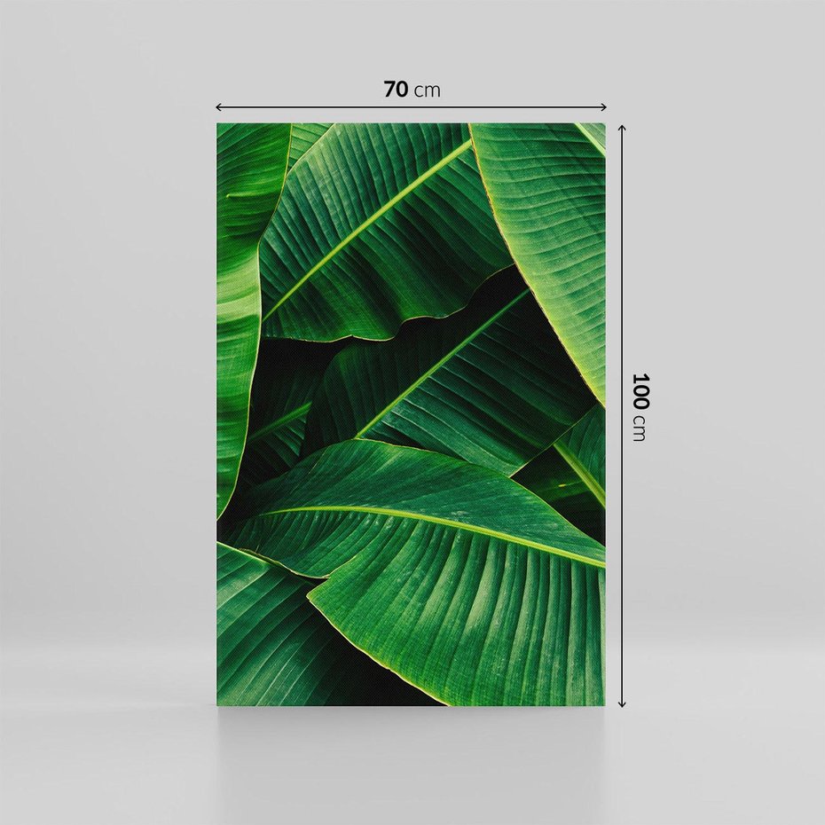 Obraz na płótnie 70x100 - Zaklęta roślinna ekspresja - liście bananowca, gęsto ułożone