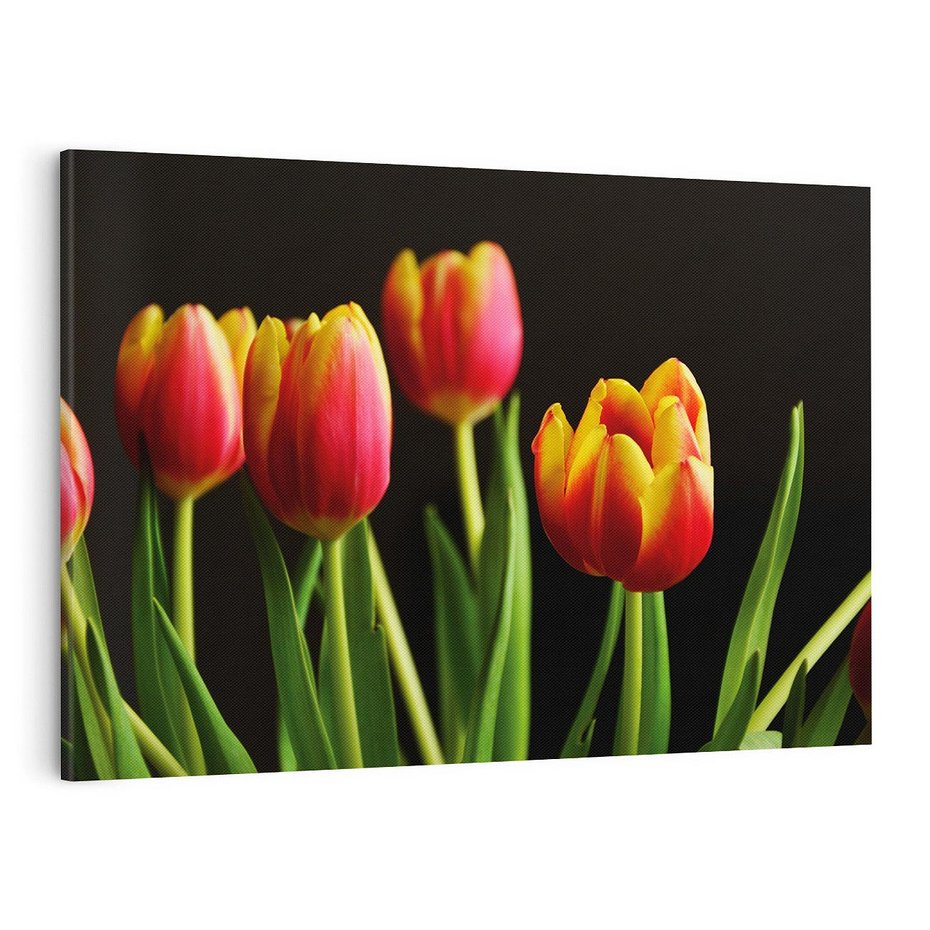 Obraz na płótnie 120x80 - Tulipany w przyrodzie: harmonia kształtów - tulipany, kiwaty