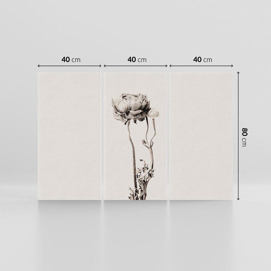 Obraz na płótnie 120x80 - Kwiatowa Symfonia w Szarościach - czarno biała odbitka, jak fotografia