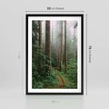 Plakat w ramie 50x70 - Mgliste Marzenia - artystyczna fotografia, las - rama czarna