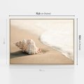 Obraz w ramie 70x50 - Urok plażowej muszelki - fotografia, muszla na plaży - rama drewno