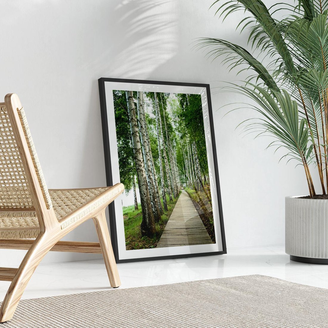 Plakat w ramie 30x40 - Spacer ścieżką przez brzozowy las - las, ścieżka - rama czarna