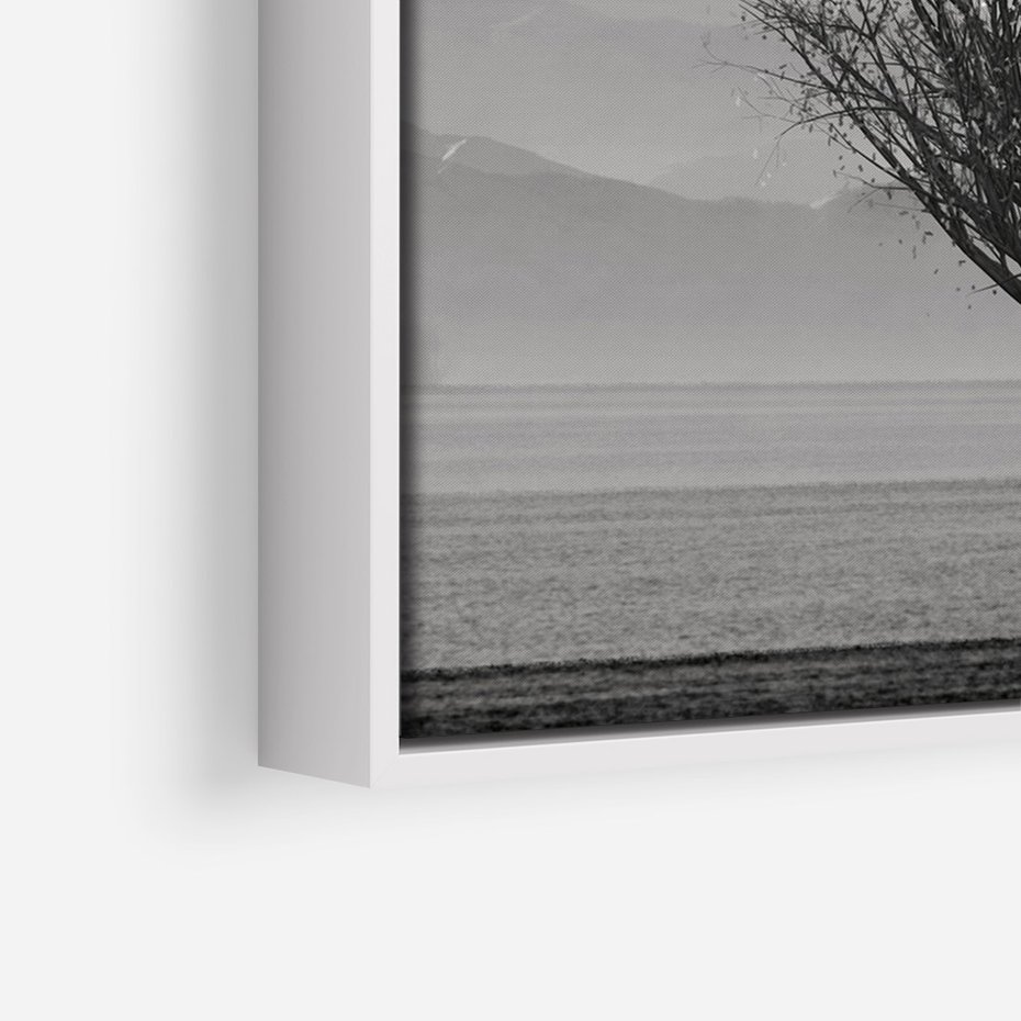 Obraz w ramie 80x120 - Samotne Drzewo - samotne drzewo w polu, czarno białe zdjęcie - rama biała