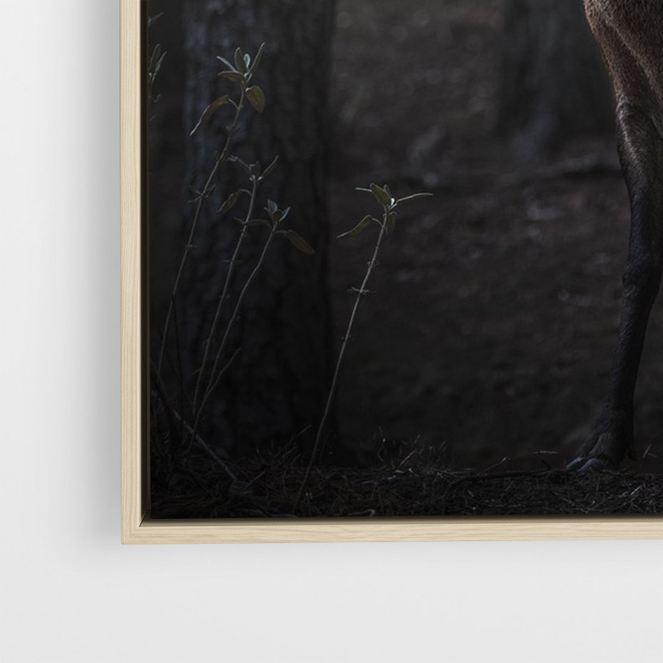 Obraz w ramie 50x70 - Jeleń wśród lasu - jeleń, las - rama drewno