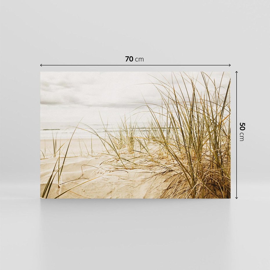 Obraz na płótnie 70x50 - Oaza nad morzem: plaża i roślinność - plaża, morze