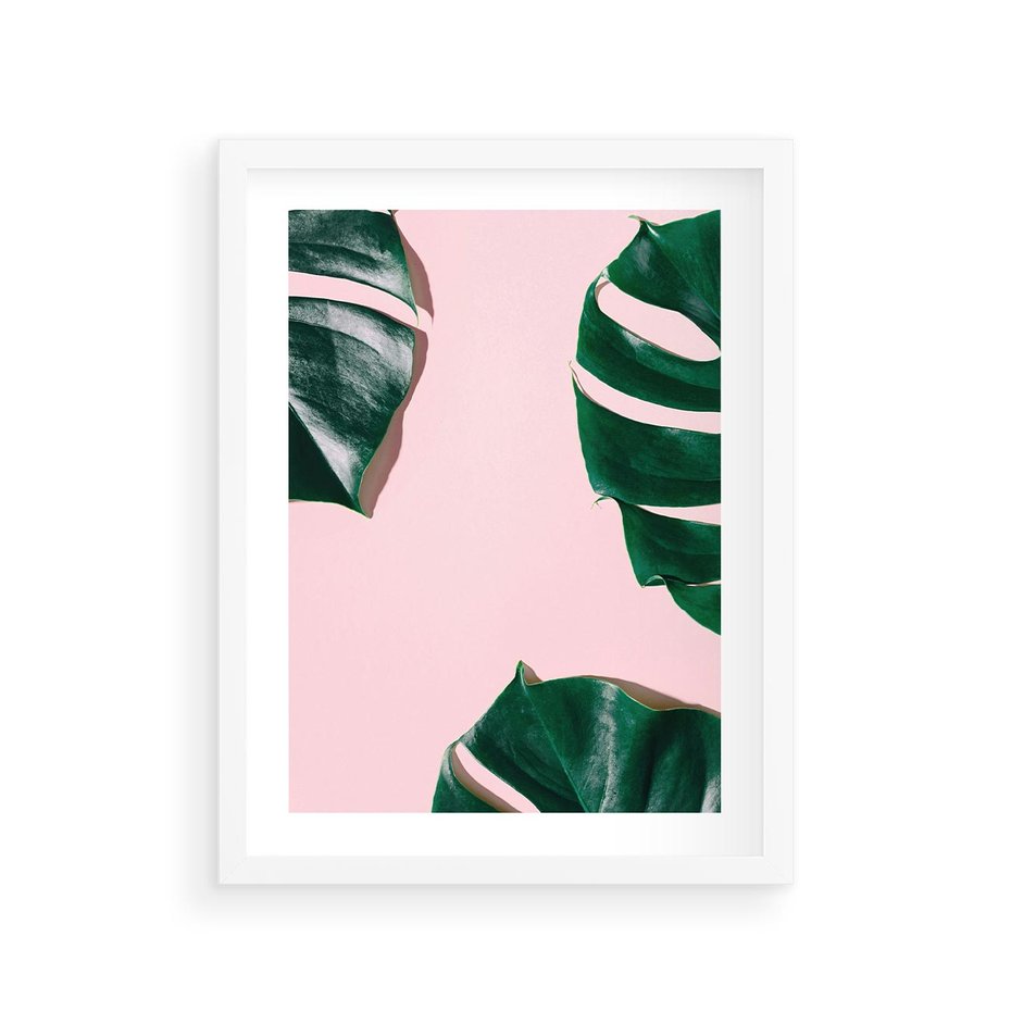 Plakat w ramie 30x40 - Minimalizm Natury - minimalizm, liście monstery - rama biała