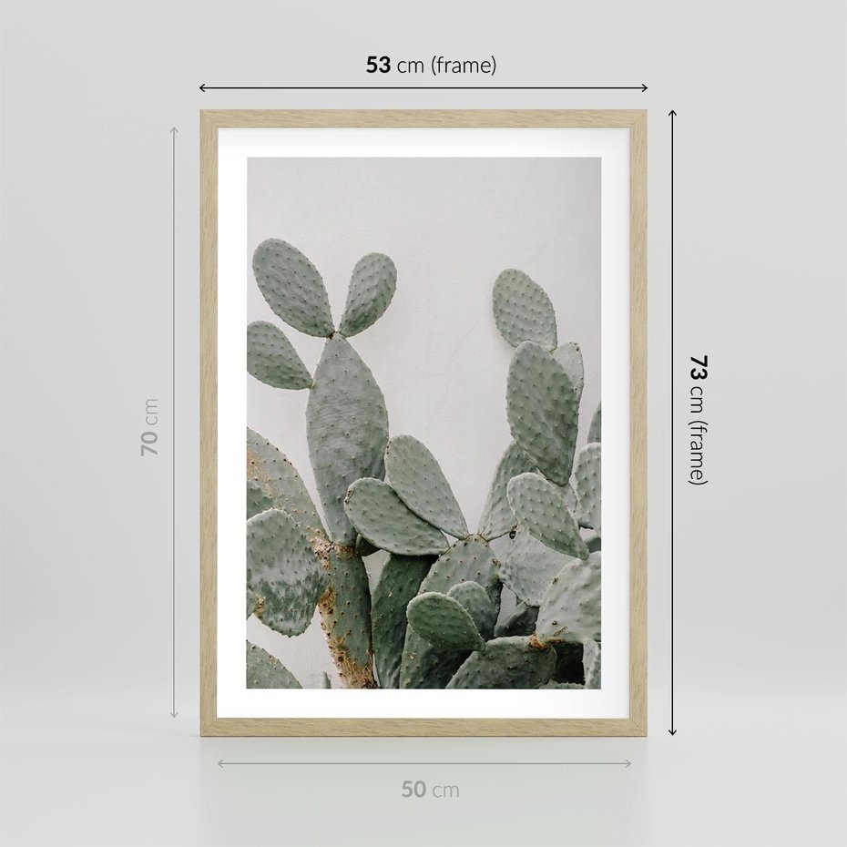 Plakat w ramie 50x70 - Imponujący Kaktus - duży kaktus, opuncja - rama drewno