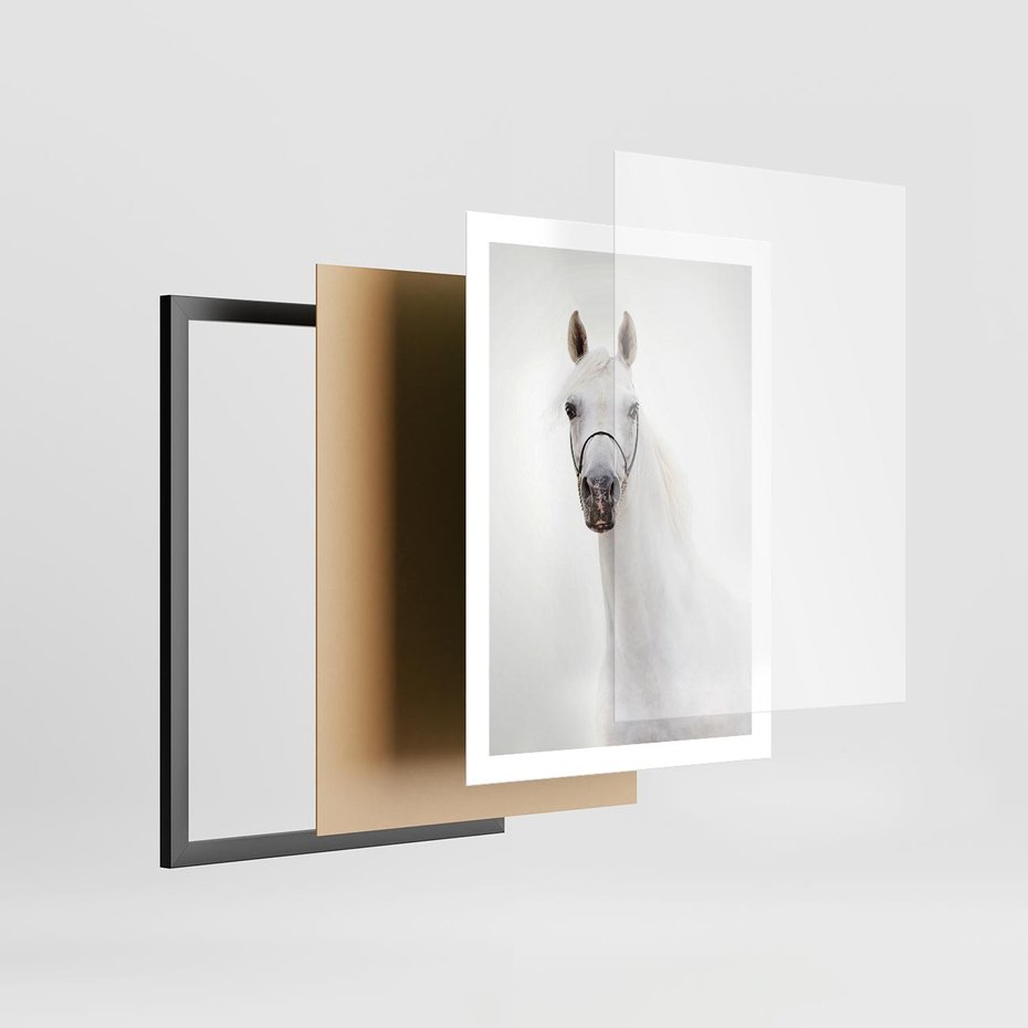 Plakat w ramie 50x70 - Elegancja białego konia - biały, koń - rama czarna