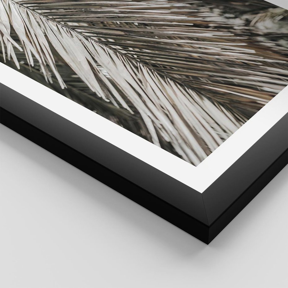 Plakat w ramie 40x50 - Egzotyczne Gałęzie - suche gałęzie, liście palmy - rama czarna