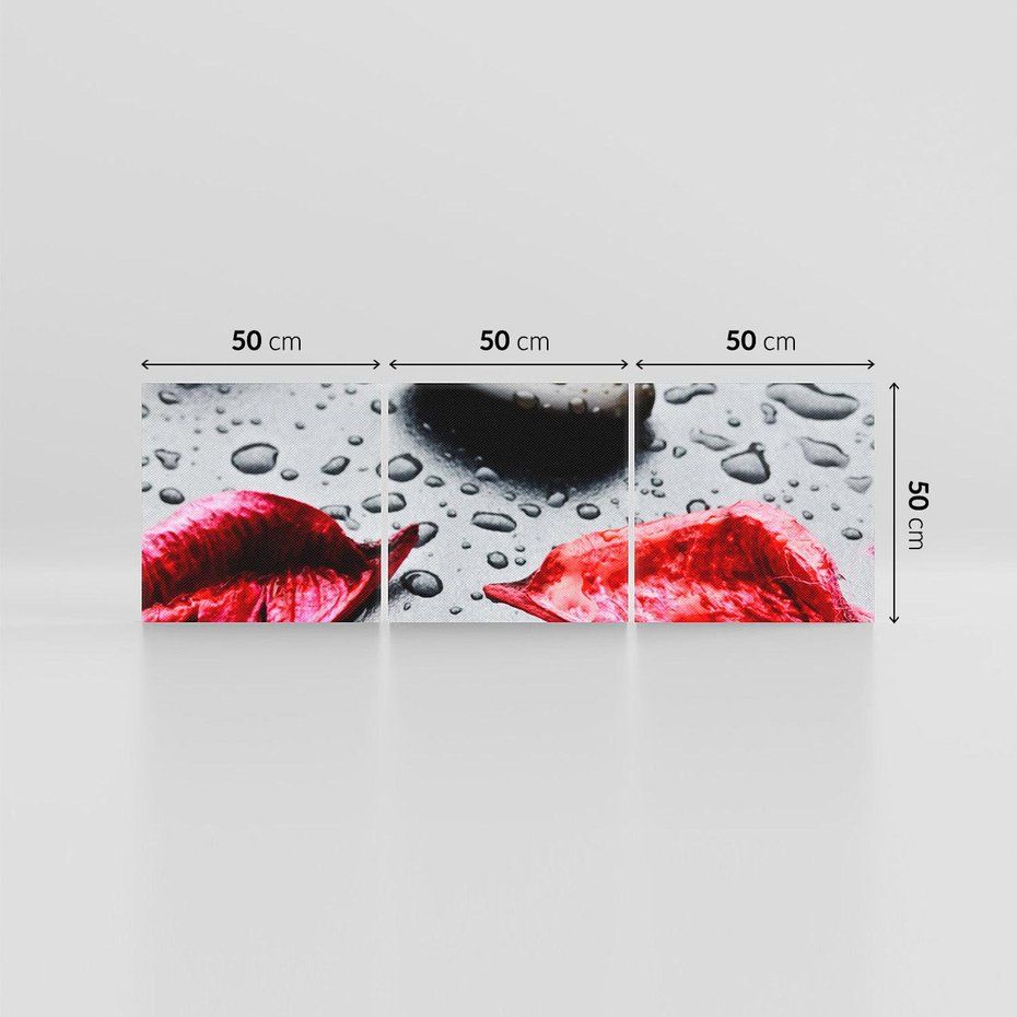 Obraz na płótnie 150x50 - Spa wśród Natury - spa, kamienie