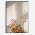 Obraz w ramie 70x100 - mpresyjne układy traw - boho, trawy - rama czarna