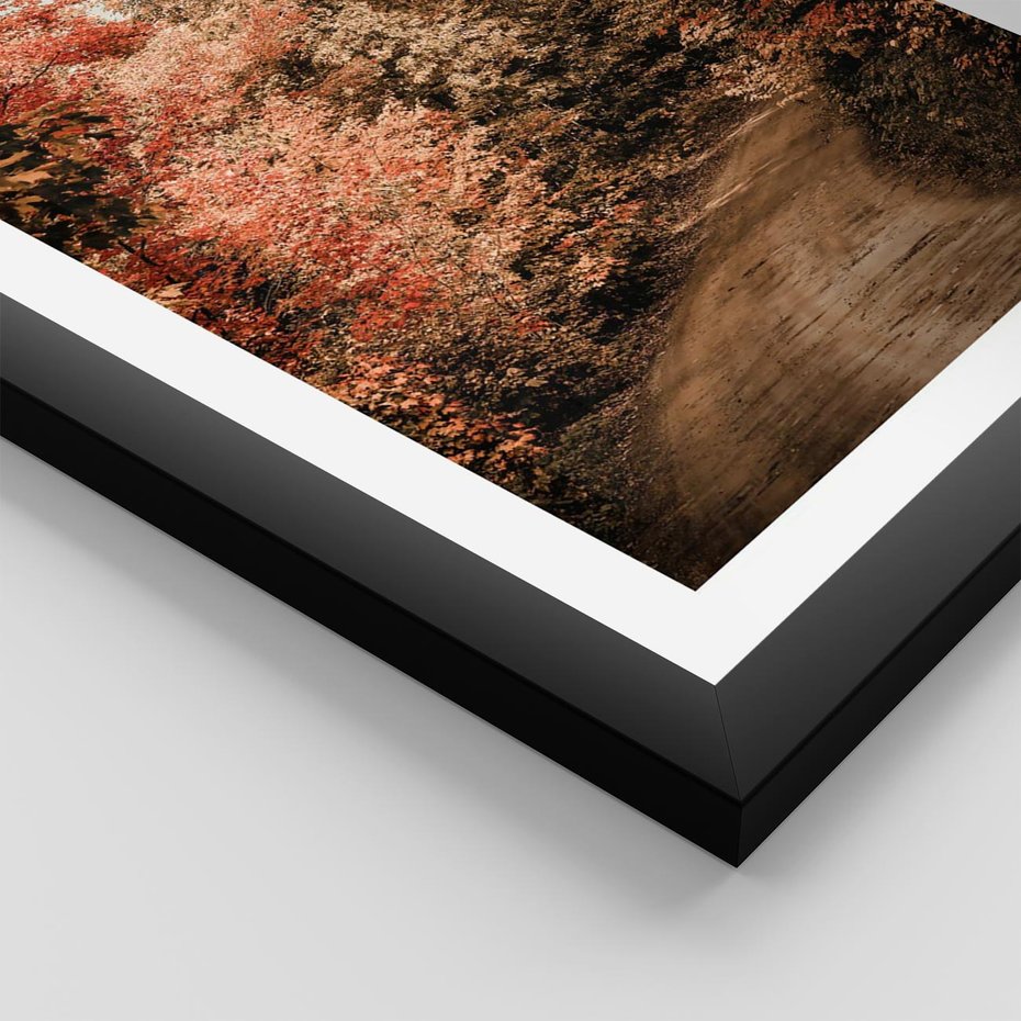 Plakat w ramie 50x70 - Obraz przedstawia jesienne drzewa i czerwone liście na ścieżce w lesie. Ta sceneria doskonale oddaje urok i kolorystykę jesieni w lesie. - las, jesień - rama czarna