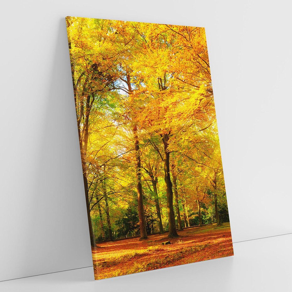 Obraz na płótnie 50x70 - Urok jesiennego lasu - las, drzewa