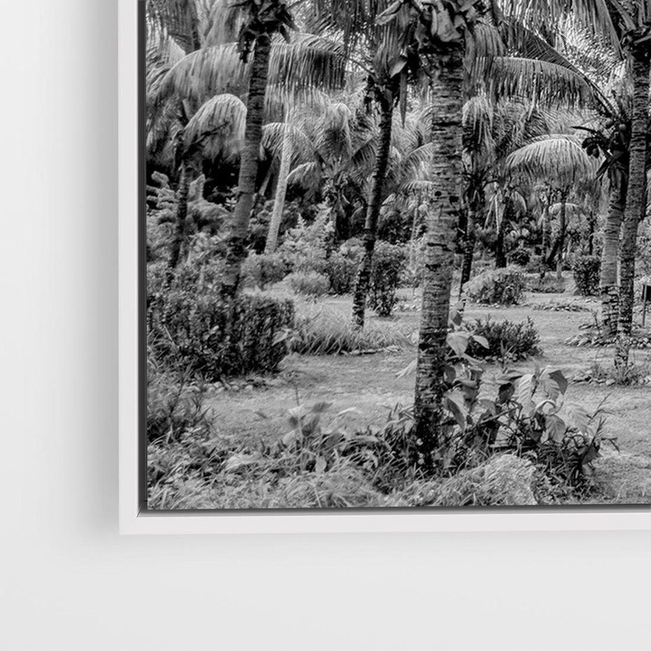 Obraz w ramie 70x50 - Mroczna Ścieżka Tropików - czarno biała fotografia, ścieżka pośród palm - rama biała