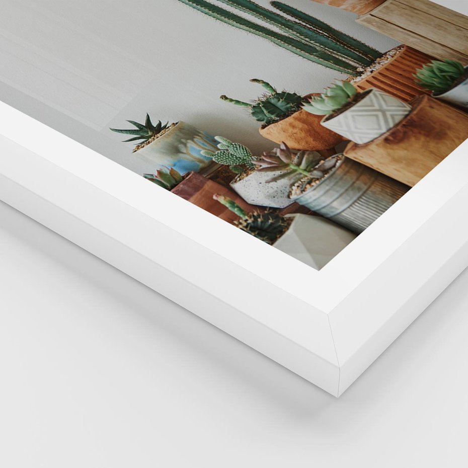 Plakat w ramie 40x50 - Naturalna Harmonia - kaktusy, liście - rama biała