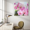 Obraz na płótnie 40x40 - Elegancja orchidei - orchidea, kwiaty