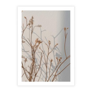 Plakat bez ramy 21x30 - Boho gałązki suche - gałązki, suche