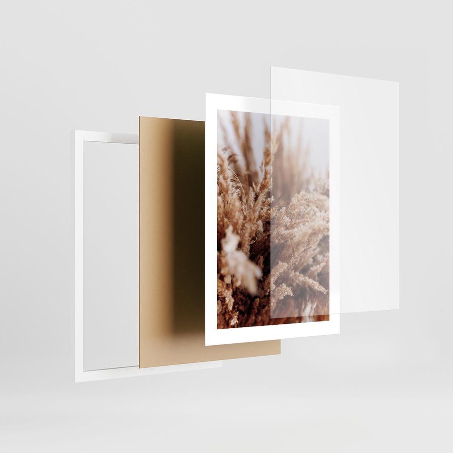 Plakat w ramie 30x40 - Sztuka Suszonych Traw - trawa pampas, suszone trawy - rama biała