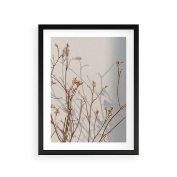 Plakat w ramie 40x50 - Boho gałązki suche - gałązki, suche - rama czarna