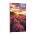 Obraz na płótnie 50x70 - Lawenda: Pachnące pole kwiatów - kwiaty, lawenda