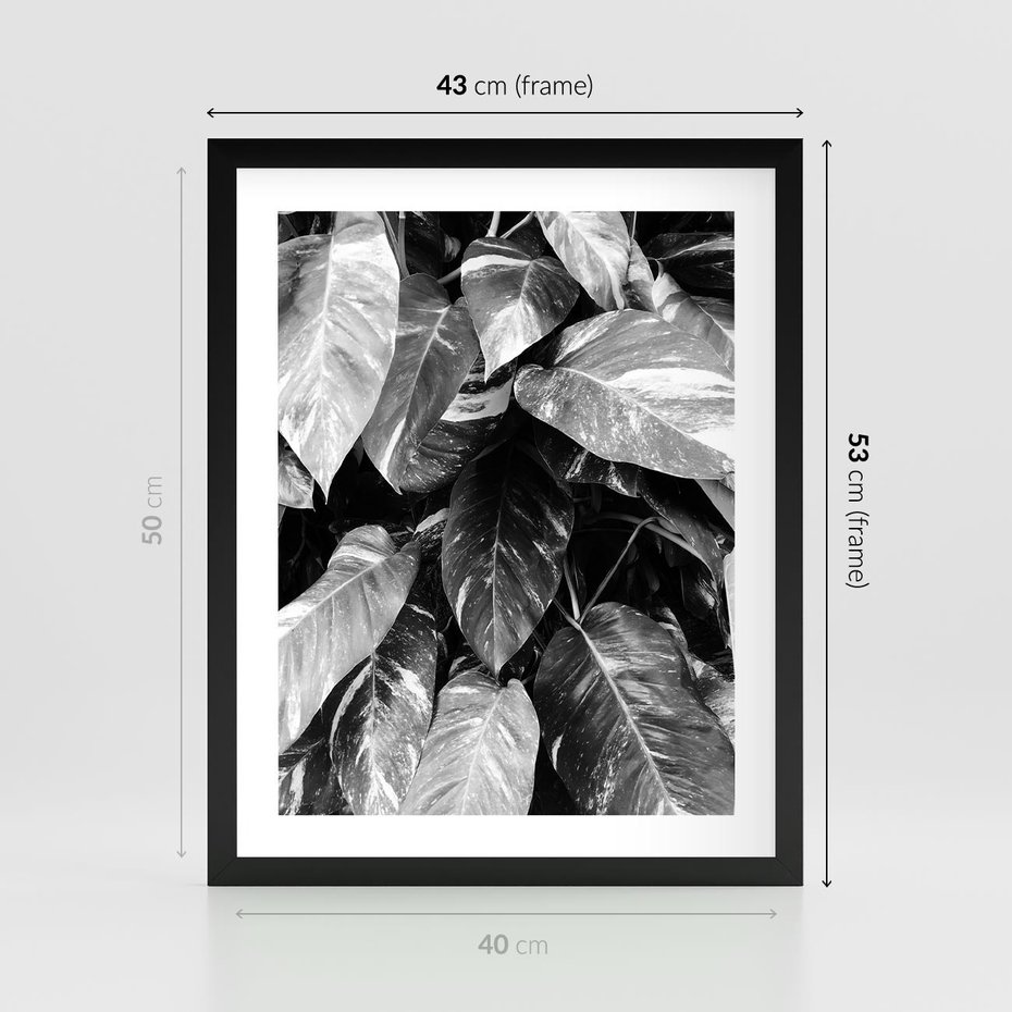 Plakat w ramie 40x50 - Liście w Czarno-Białej Fotografii - liście, roślina - rama czarna