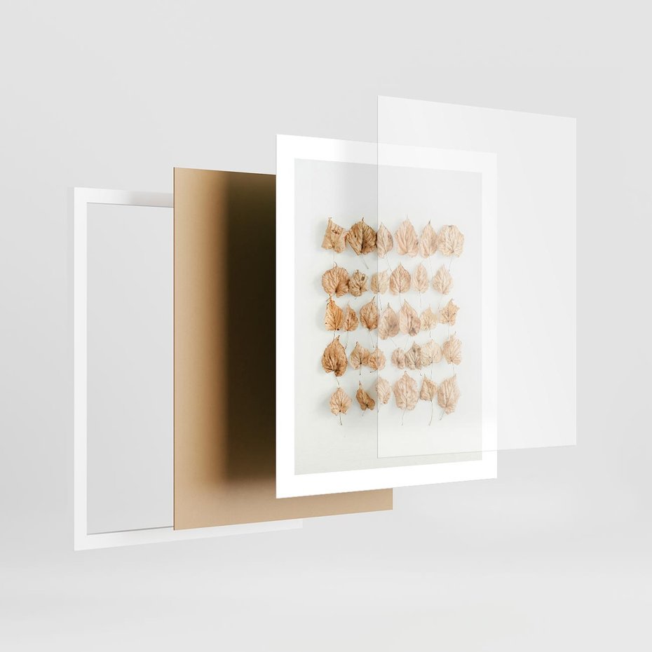 Plakat w ramie 40x50 - Liście Złotego Sezonu - kompozycja z suchych żółtych liści - rama biała