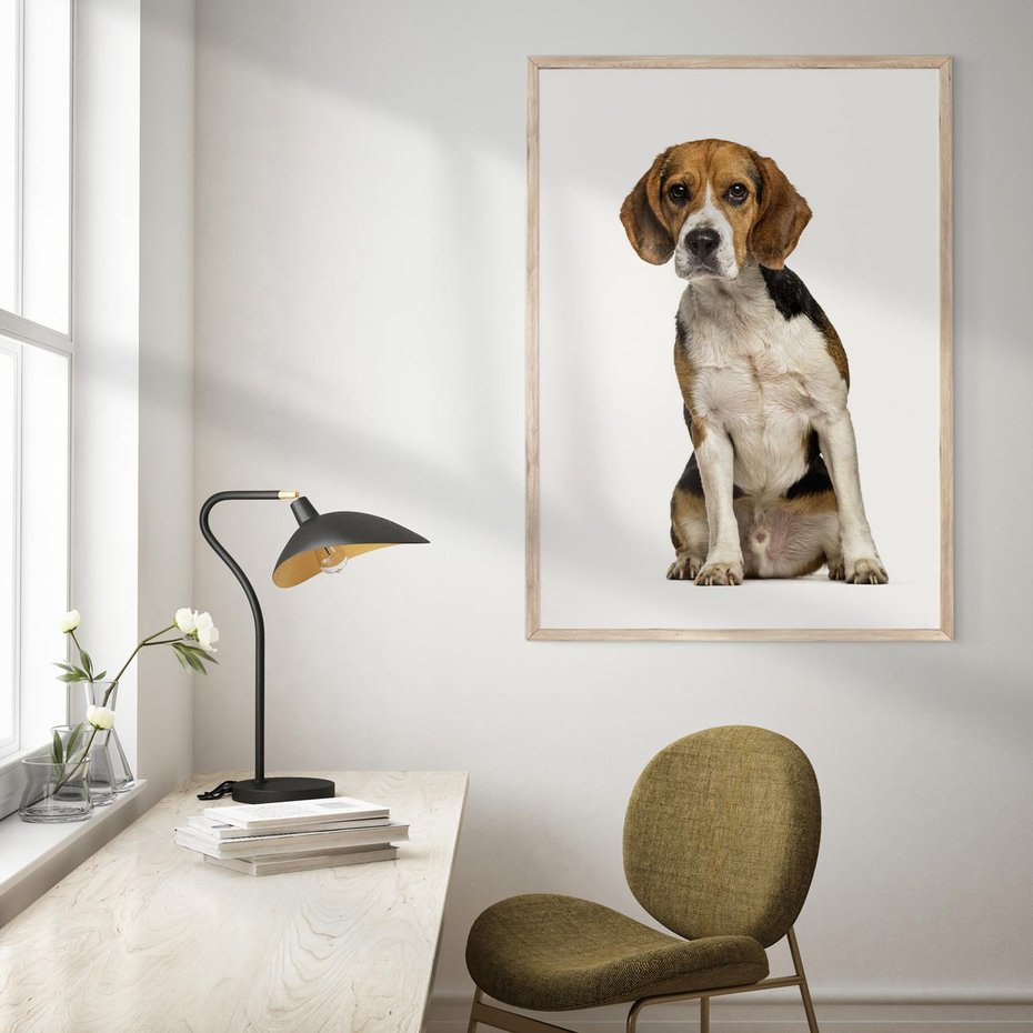 Plakat w ramie 50x70 - Wierność i radość - pies, piesek - rama drewno