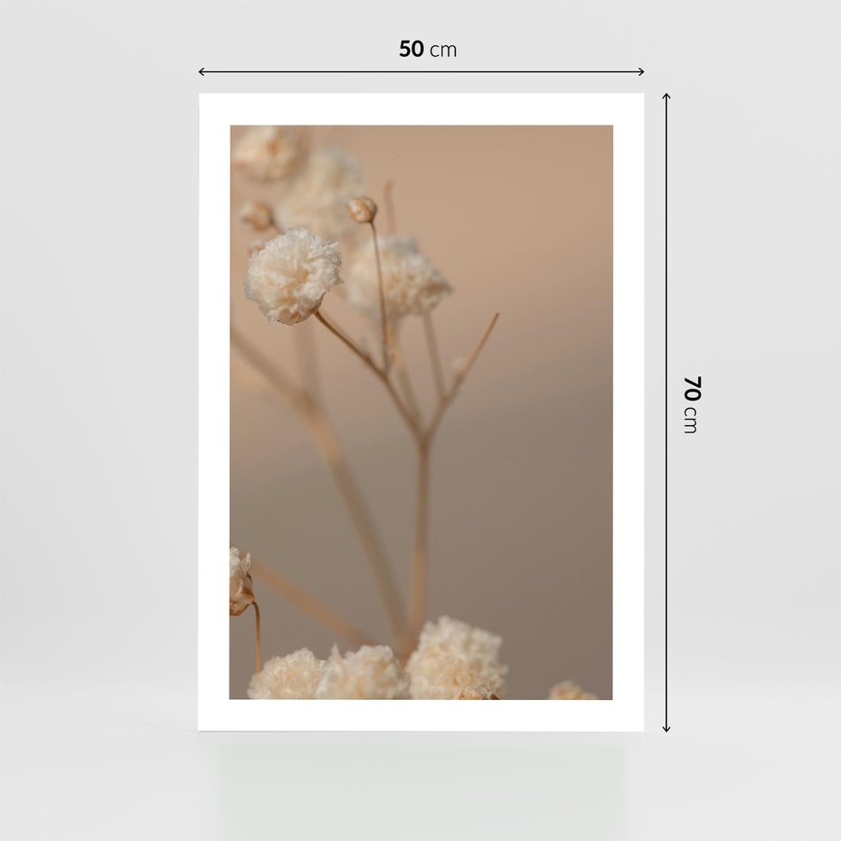 Plakat bez ramy 50x70 - Subtelna gipsówka - gipsówka, suche