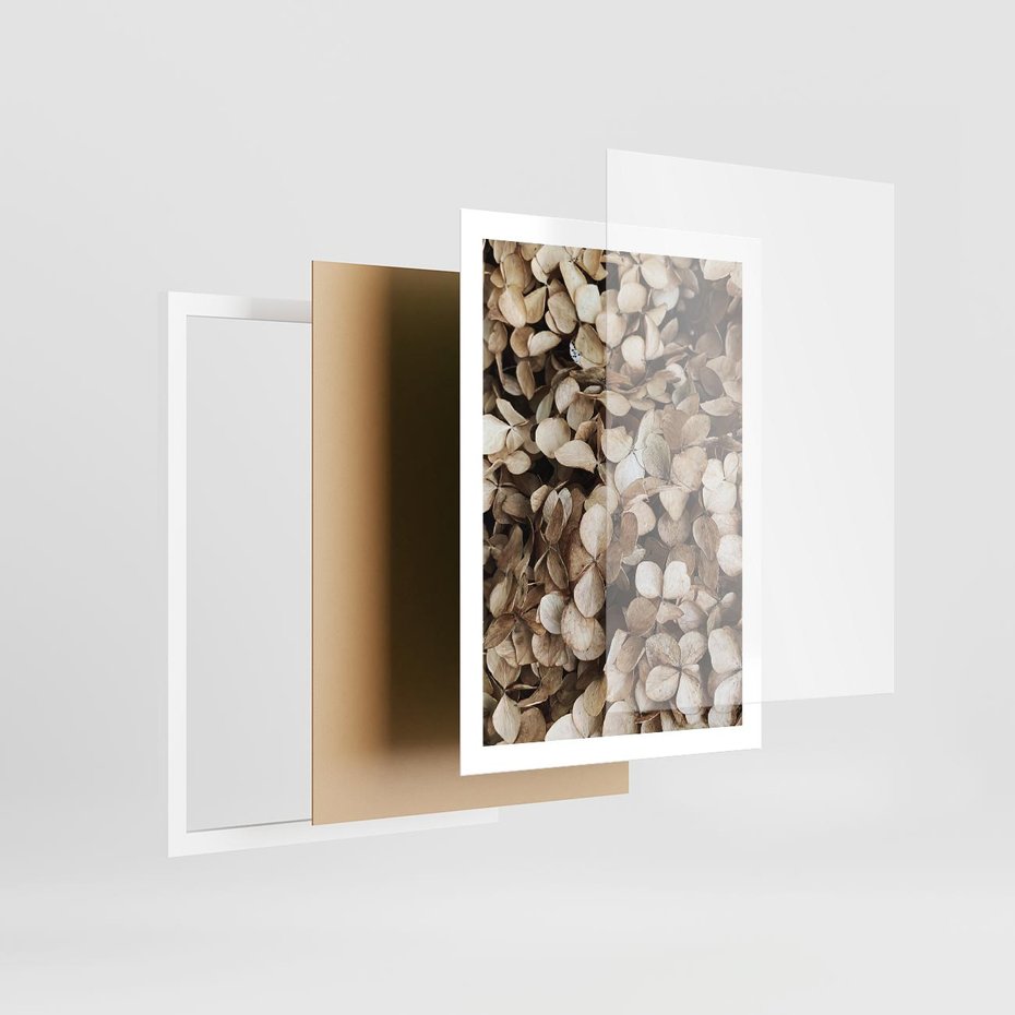 Plakat w ramie 50x70 - Delikatność Hortensji: Kompozycja Kwiatów w Beżu - hortensja, odcienie beżu - rama biała