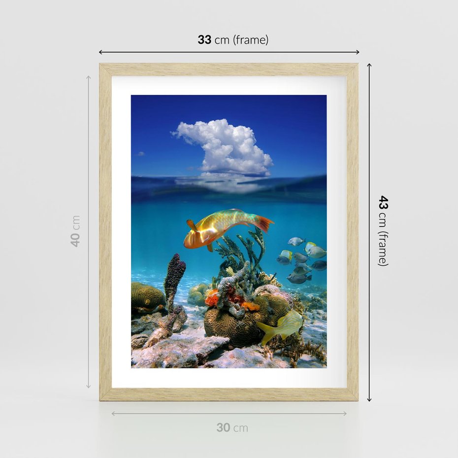 Plakat w ramie 30x40 - Podwodna rafa koralowa: kolorowy oceanowy świat - rafa, koralowa - rama drewno