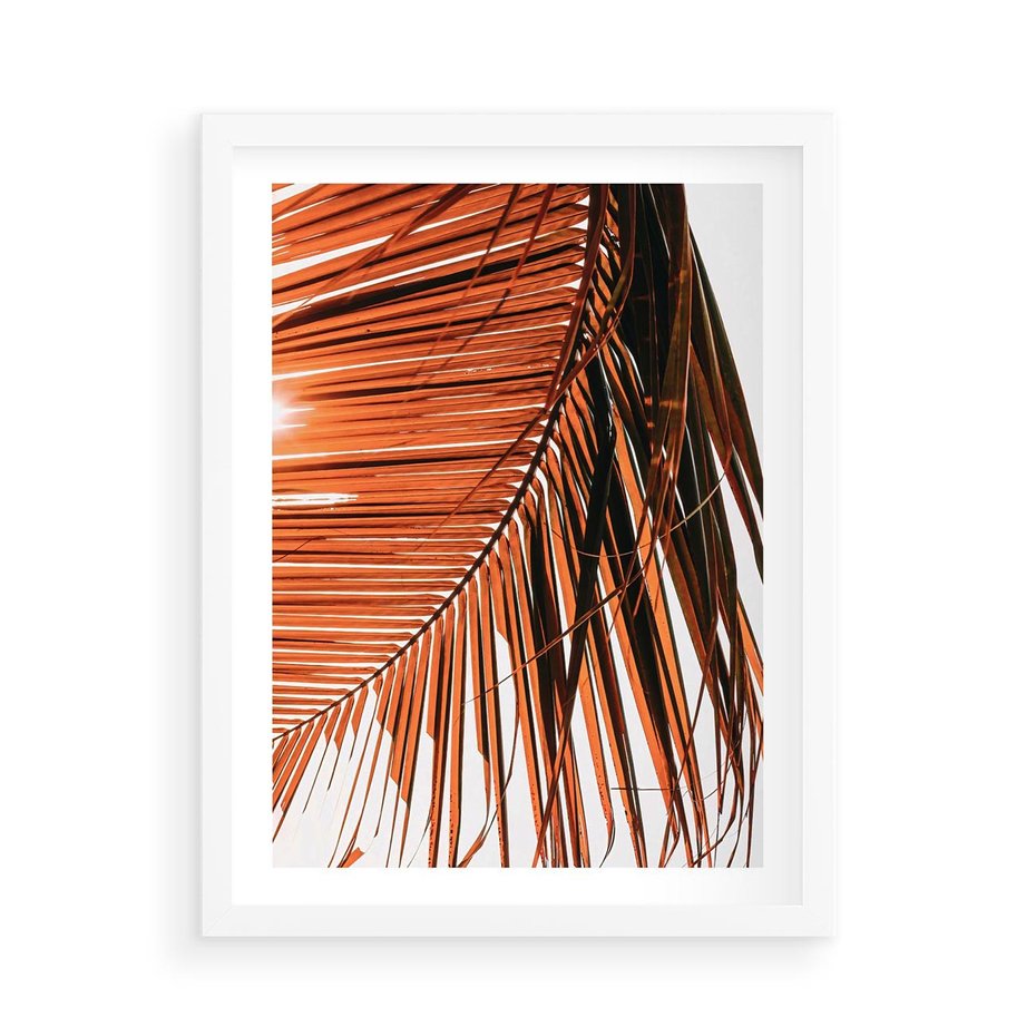 Plakat w ramie 50x70 - Słońce na Palmie - palma, promienie słońca - rama biała