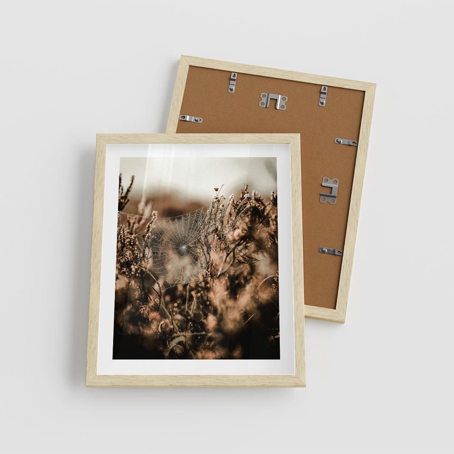 Plakat w ramie 40x50 - Jesienny Mikrokosmos - suchetrawy, jesienny klimat - rama drewno