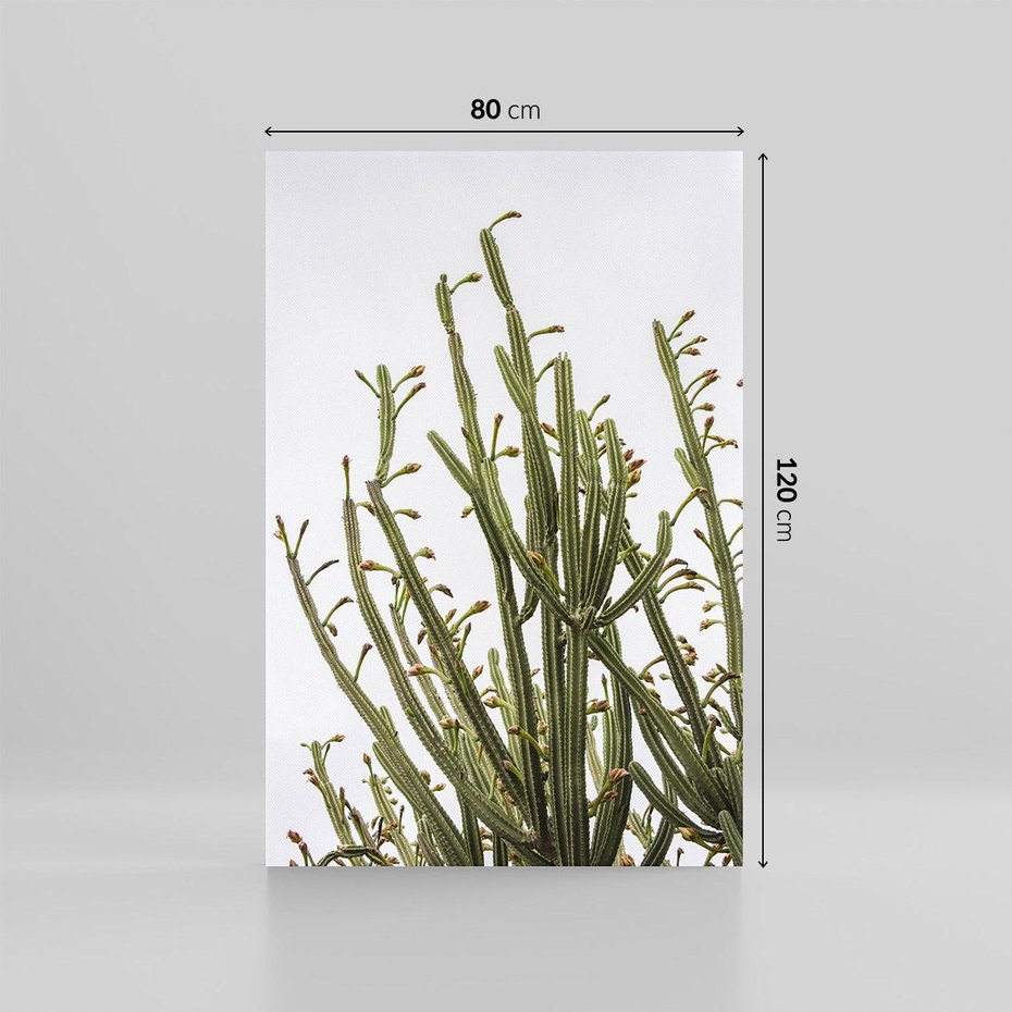 Obraz na płótnie 80x120 - Ekskluzywna Roślinność - kaktusy, liście