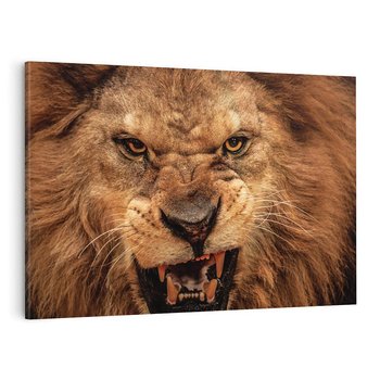Obraz na płótnie 70x50 - Władca Sawanny - lew, sawanna