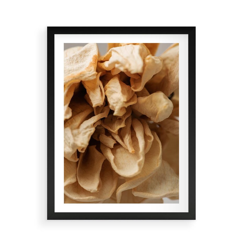 Plakat w ramie 50x70 - Zjawiskowe zasuszone kwiaty - zasuszone, kwiaty - rama czarna