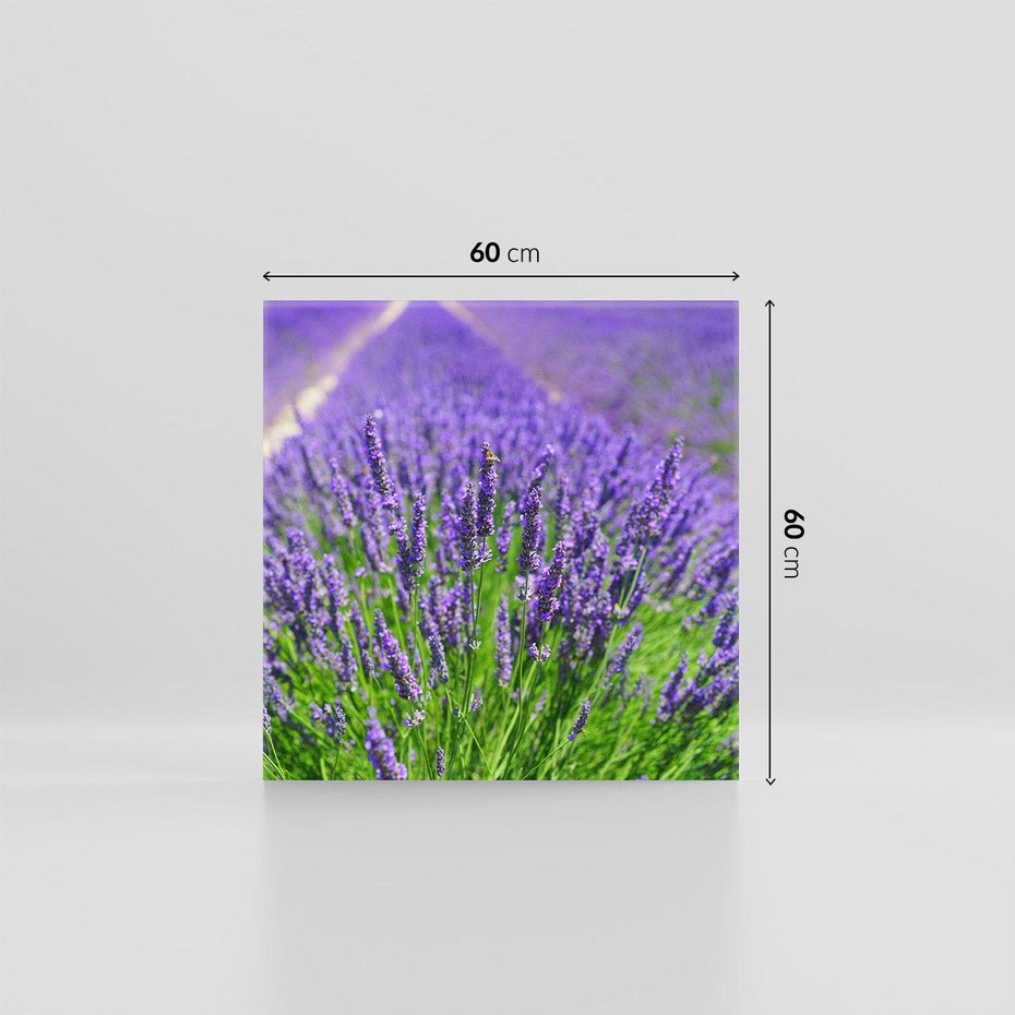 Obraz na płótnie 60x60 - Lawendowe pola piękno natury - lawenda, kwiaty