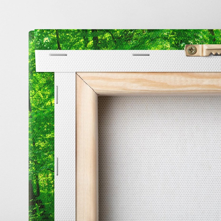 Obraz na płótnie 90x30 - Urok lasu na drodze - las, drzewa