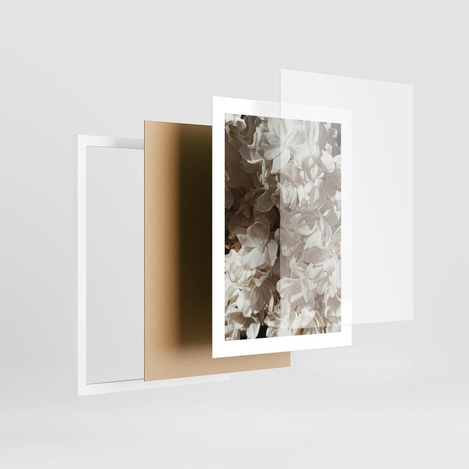 Plakat w ramie 30x40 - Płatki w Detalu - białe kwiaty, zbliżenie - rama biała