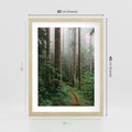 Plakat w ramie 30x40 - Mgliste Marzenia - artystyczna fotografia, las - rama drewno