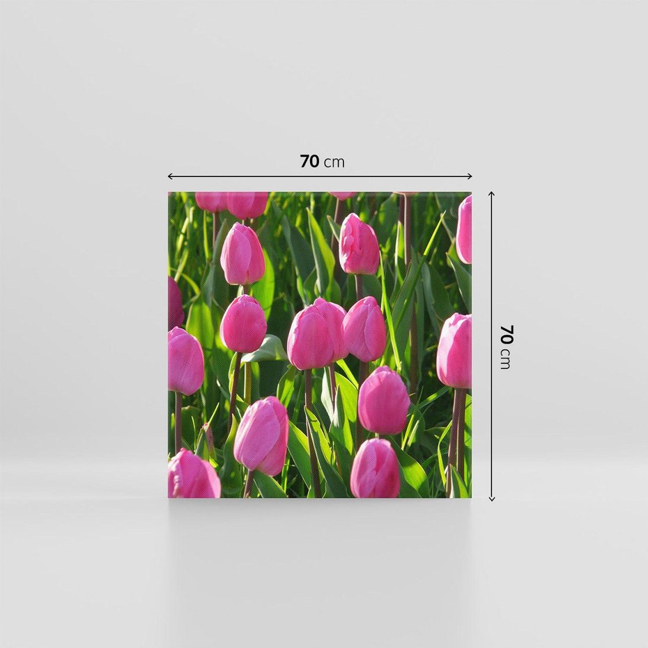 Obraz na płótnie 70x70 - Tulipanowa harmonia - tulipany, kwiaty