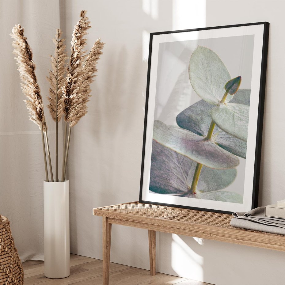 Plakat bez ramy 21x30 - Zbliżenie Liści Eukaliptusa - eukaliptus, zbliżenie