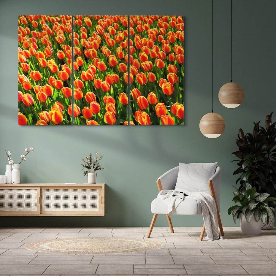 Obraz na płótnie 120x80 - Urok tulipanów piękno kwiatów - tulipany, kwiaty