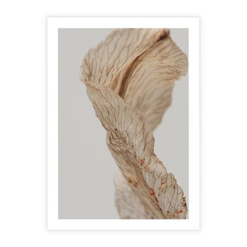 Plakat bez ramy 30x40 - Suszone piękno - susz, suche