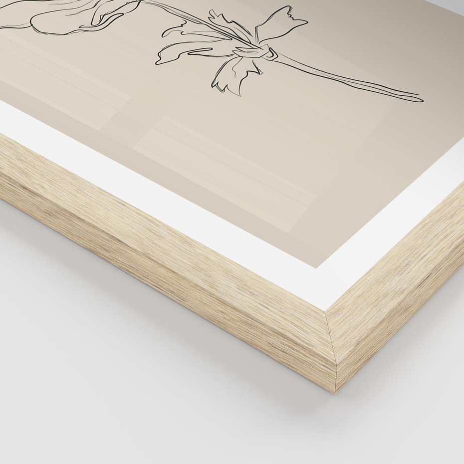 Plakat w ramie 40x50 - Przenikający Dialog - szkic kwiatu, mnimalistyczny szkic - rama drewno